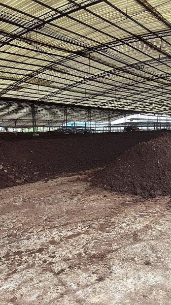 很多花友最开始都觉得养花需要投入的资金会少很多