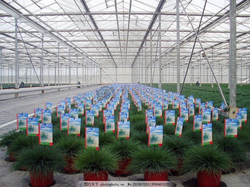 专家团队就桃红颈天牛多虫态协同防控、苹果腐烂病与轮纹病综合治理、桃树新品种引进、景观葡萄品种更新、特色蔬菜绿色管理等一线技术需求