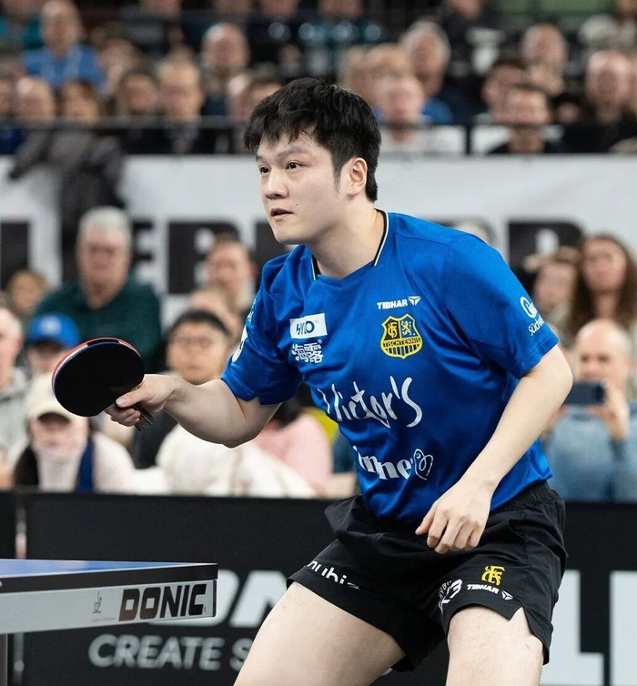 樊振东正式告别德甲萨尔布吕肯 转战杜塞尔多夫